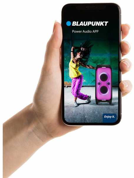 Nešiojama kolonėlė Blaupunkt Party Box PB100X