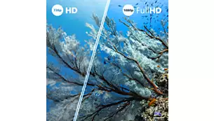 Televizorius Philips LED Full HD 32PFS6000/12, 32
