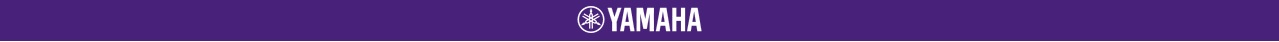 Stereo stiprintuvas Yamaha R-N800A aprašymas - Prekės nuotrauka