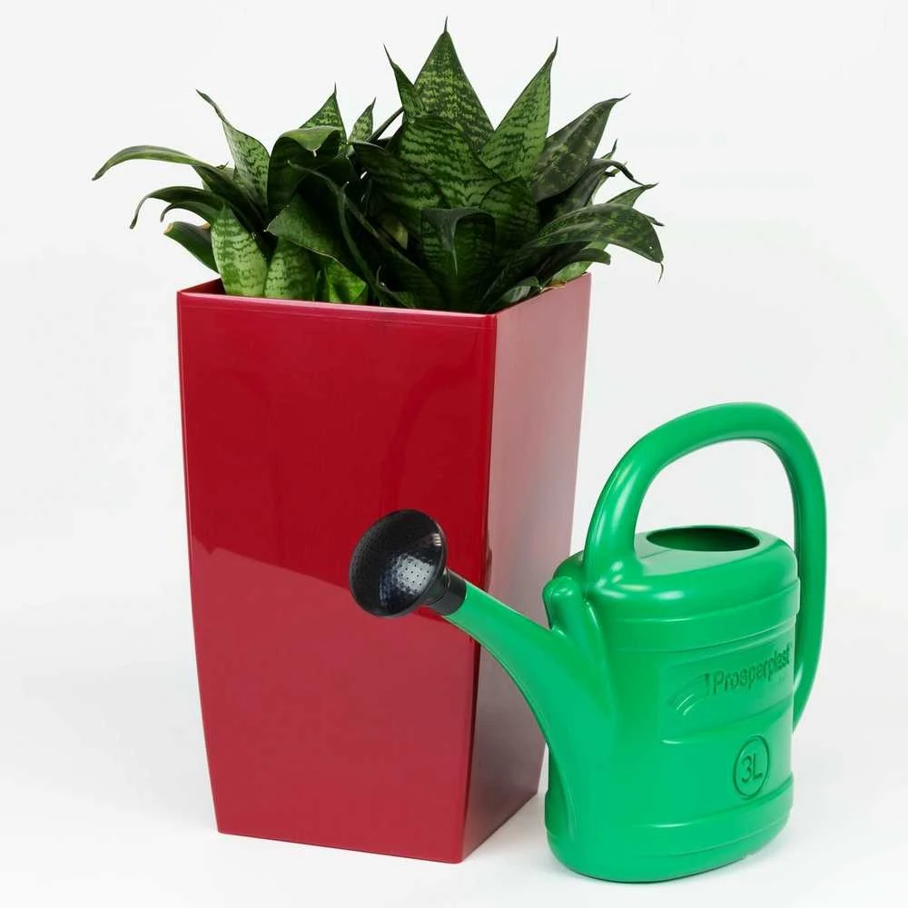Prosperplast KONEWKA SPRING 3l ŽALIA
