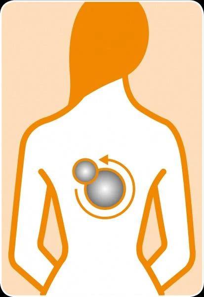 Masažinė sėdynė  Medisana MC 825 Shiatsu