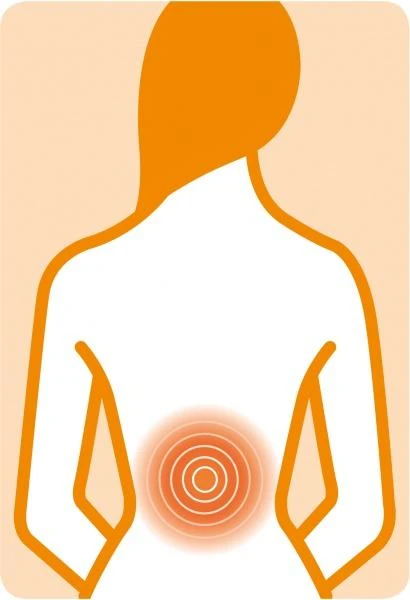 Masažinė sėdynė  Medisana MC 825 Shiatsu