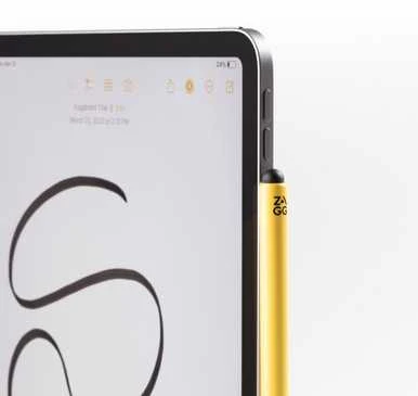 Carruzzo ZAGG Pro Stylus 2 universalus belaidžiu būdu įkraunamas Pilkas.