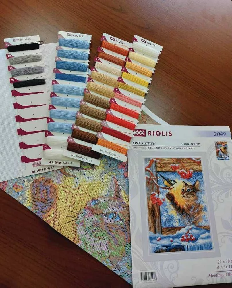 Riolis Susitikimas prie lango 21x30 SR2049