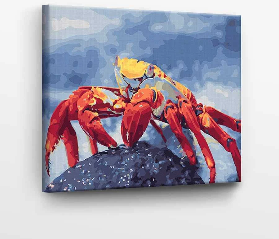 TPS Tapyba pagal skaičius Krabas 40x50 cm