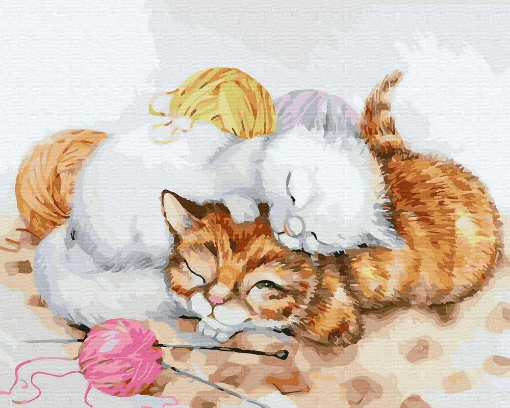 Tapyba pagal skaičius Kačiukų mezgimas 40x50 cm