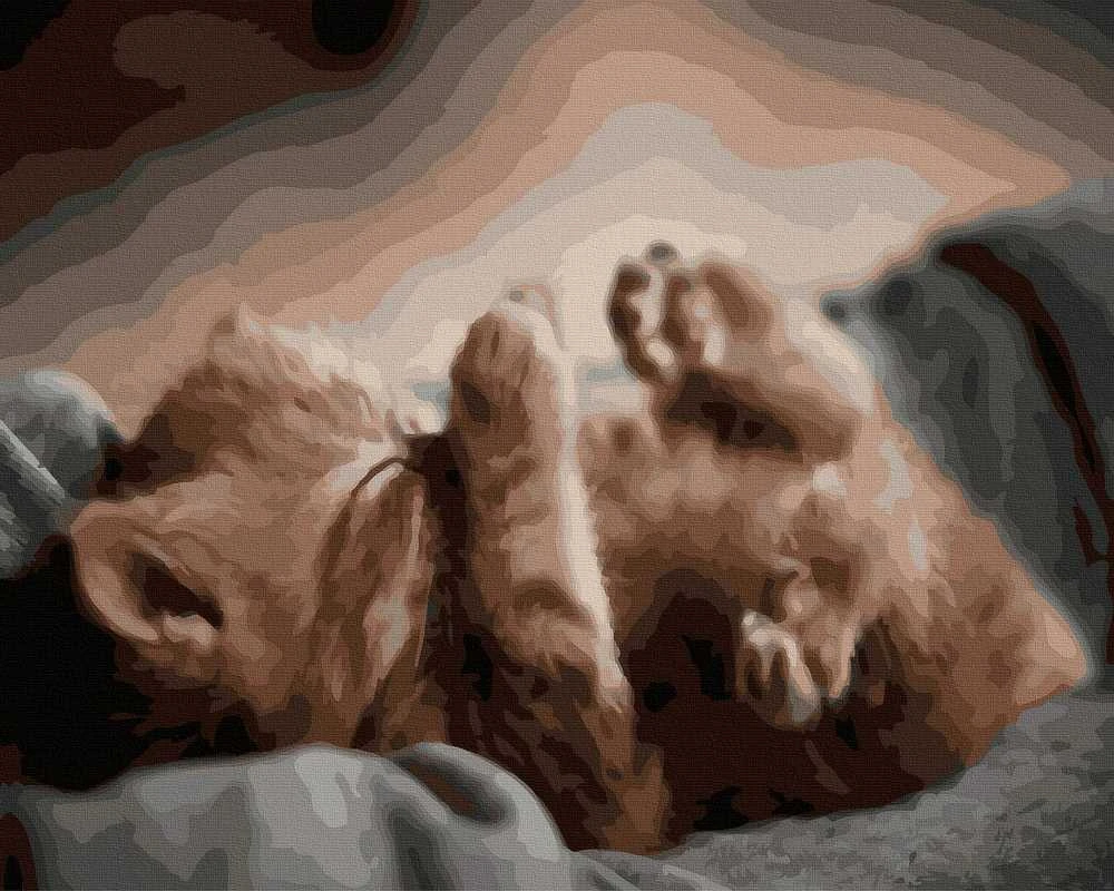 Tapyba pagal skaičius Kačiukas 40x50 cm