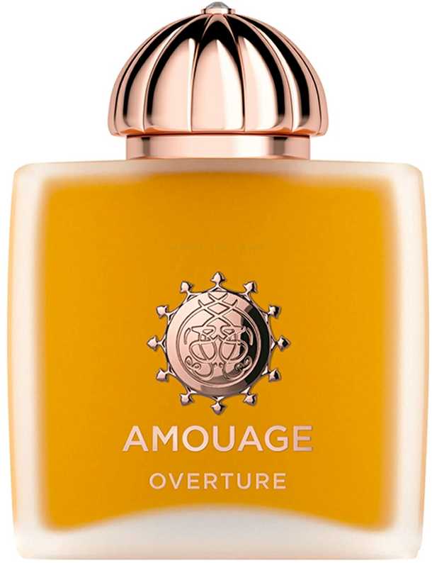 Amouage Overture EDP parfumuotas vanduo moterims, 100 ml