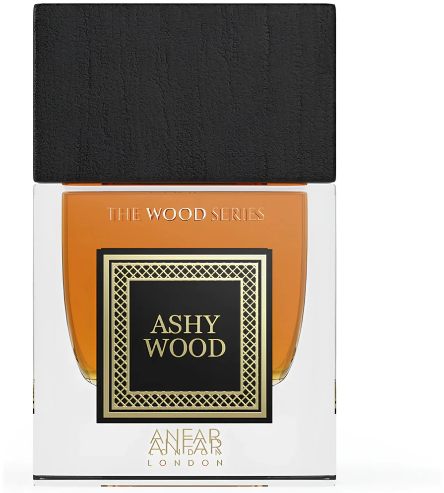 Anfar Ashy Wood PP kvepalai vyrams, 100 ml