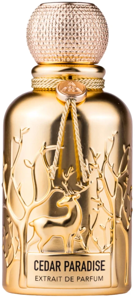 Auraa Desire Cedar Paradise PP kvepalai vyrams, 100 ml
