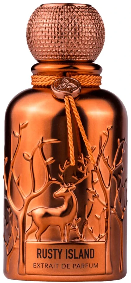Auraa Desire Rusty Island PP kvepalai vyrams, 100 ml