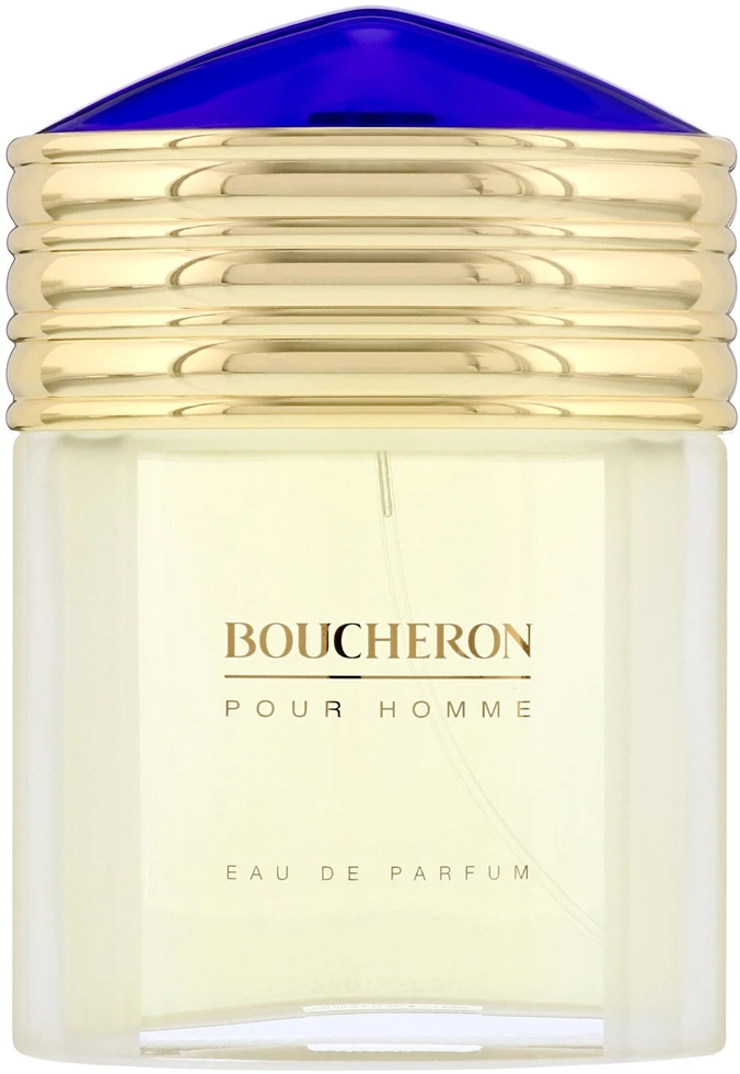 Boucheron, Boucheron, Eau De Toilette, For Men, 100 ml