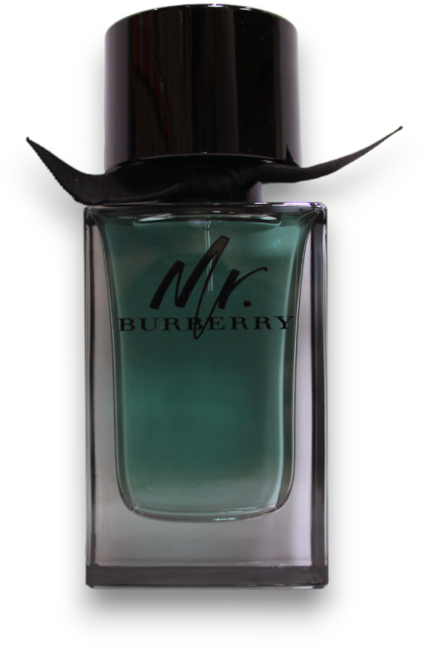 Burberry Mr. Burberry EDT tualetinis vanduo vyrams, 100 ml