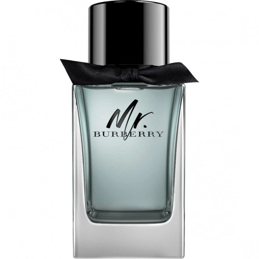 Burberry Mr. Burberry EDT tualetinis vanduo vyrams, 100 ml