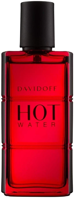 Kvepalai vyrams Davidoff Hot Water EDT, 110 ml