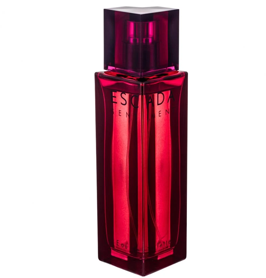 Escada Sentiment for Men (Kvepalai Vyrams) EDT 100ml