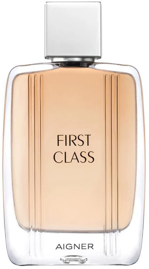 Etienne Aigner Aigner First Class EDT tualetinis vanduo vyrams, 100 ml