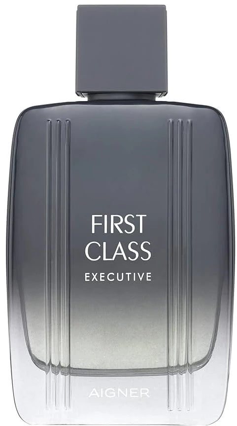 Etienne Aigner Aigner First Class EDT tualetinis vanduo vyrams, 50 ml