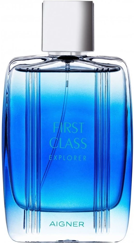 Etienne Aigner Aigner First Class Explorer EDT tualetinis vanduo vyrams, 100 ml