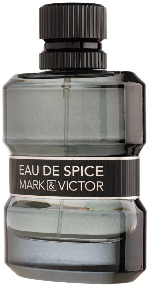 Fragrance World Eau De Spice EDP parfumuotas vanduo vyrams, 100 ml