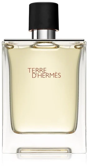 Hermes, Terre d'Hermes, Eau De Toilette, For Men, 100 ml