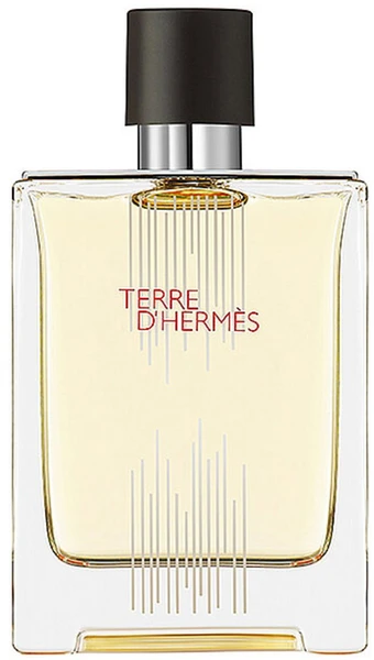 Hermes Terre d'Hermes Flacon H Limited Edition EDT tualetinis vanduo vyrams, 100 ml