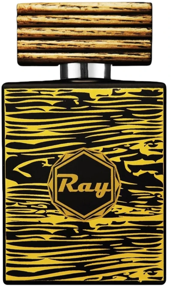 Louis Cardin Ray EDP parfumuotas vanduo vyrams, 100 ml