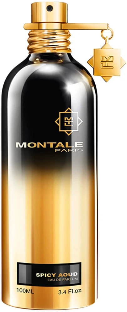 Montale Paris Montale Spicy Aoud EDP parfumuotas vanduo unisex, 100 ml