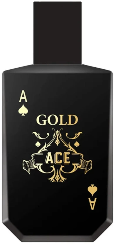 New Brand Parfums Christopher Dark NEW BRAND Intence Gold Ace vanduo toaletinis vyrams 100 ml