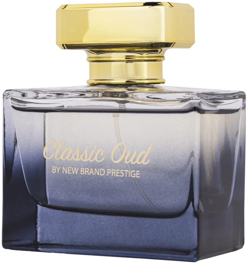 New Brand Prestige Classic Oud EDP parfumuotas vanduo moterims, 100 ml