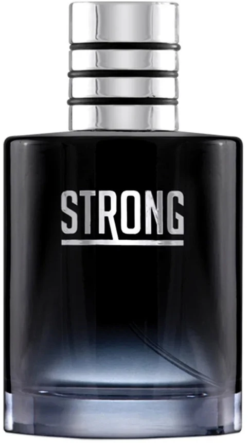 New Brand Naujas prekės ženklas, stiprus, tualetinis vanduo vyrams, 100 ml vyrams