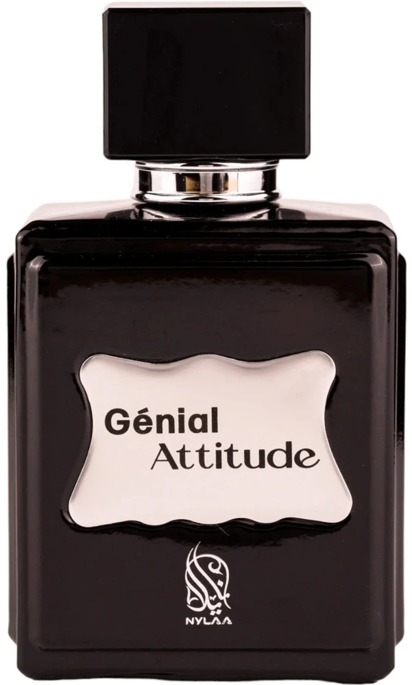 Nylaa Genial Attitude EDP parfumuotas vanduo vyrams, 100 ml