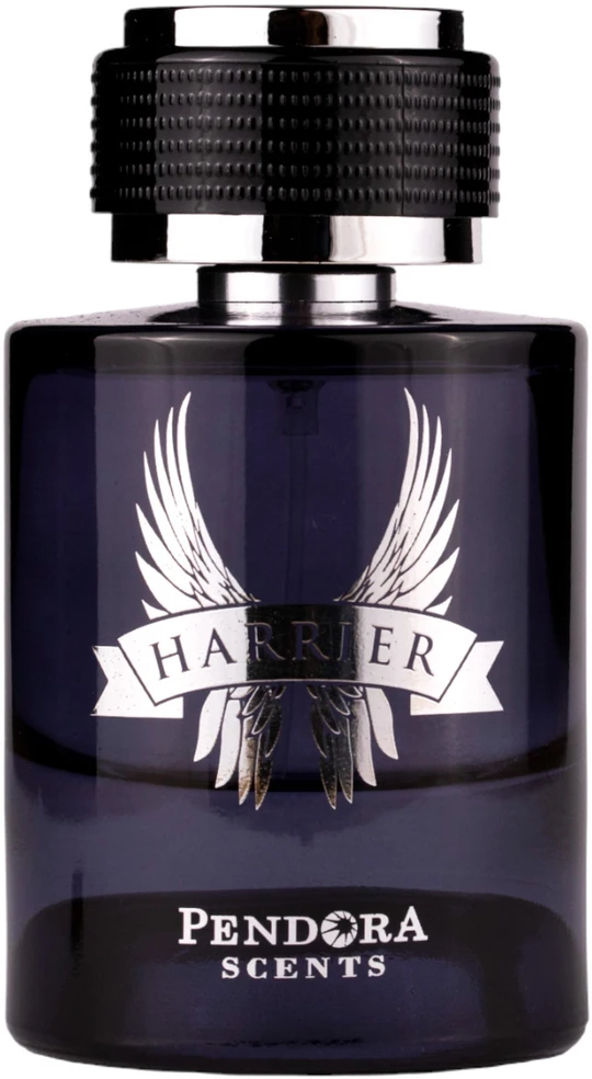 Pendora Scents Harrier EDP parfumuotas vanduo vyrams, 100 ml