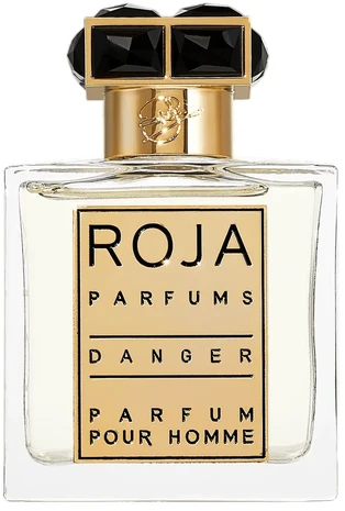 Roja Parfums Danger Pour Homme EDP parfumuotas vanduo vyrams, 100 ml