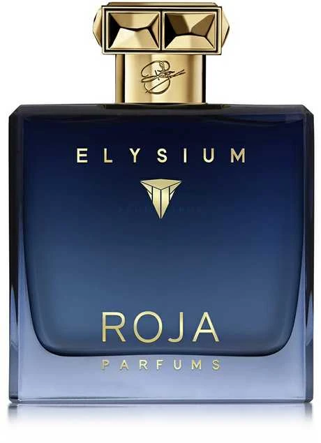 Roja Parfums Elysium Pour Homme Cologne Eau De Parfum odelokolonas vyrams, 100 ml