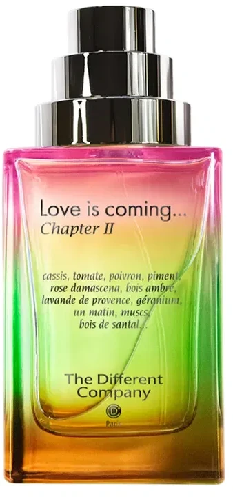 The Different Company Love is Coming Chapter II EDP kvepalai vyrams, 100 ml