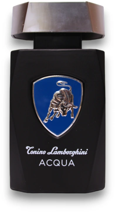 Tonino Lamborghini Lamborghini Acqua EDT tualetinis vanduo vyrams, 125 ml
