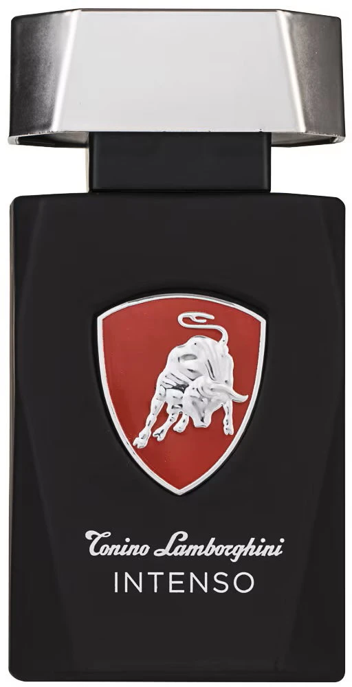 Tonino Lamborghini Lamborghini Intenso EDT tualetinis vanduo vyrams, 200 ml