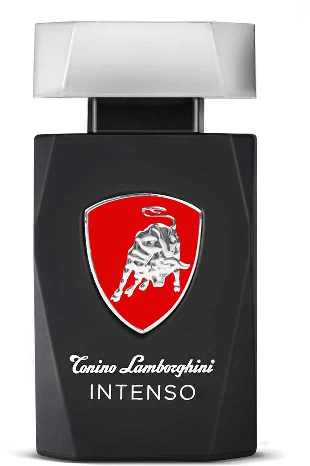 Tonino Lamborghini Lamborghini Intenso EDT tualetinis vanduo vyrams, 125 ml