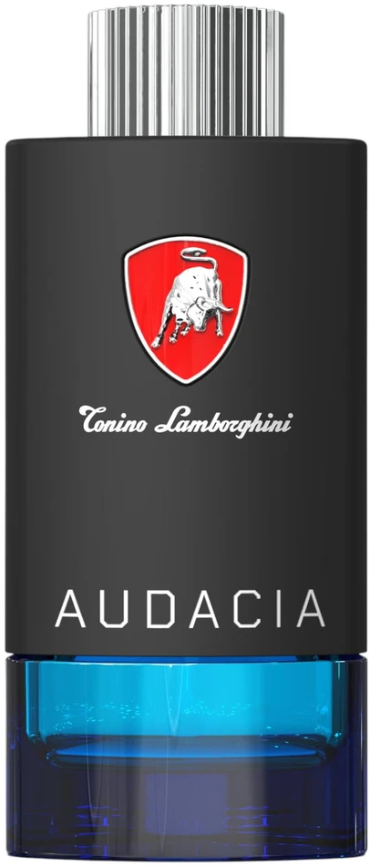 Tonino Lamborghini Techno Audacia EDT tualetinis vanduo vyrams, 100 ml