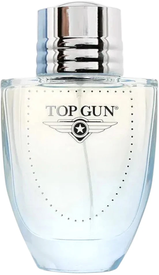 Top Gun Chevron EDT tualetinis vanduo vyrams, 100 ml