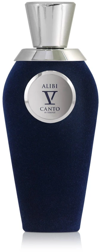 V Canto Alibi PP kvepalai unisex, 100 ml