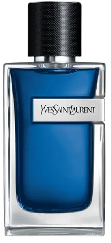 Yves Saint Laurent AND ICED COLOGNE EDT vapo 100 ml