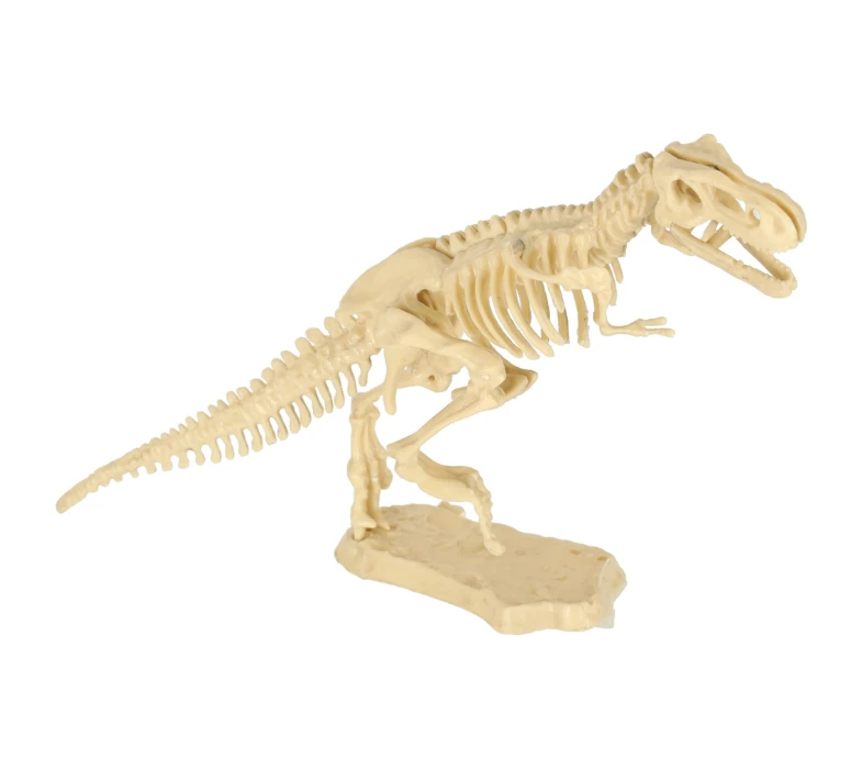 Archeologijos kasinėjimų rinkinys Dinozaurai, KX3582