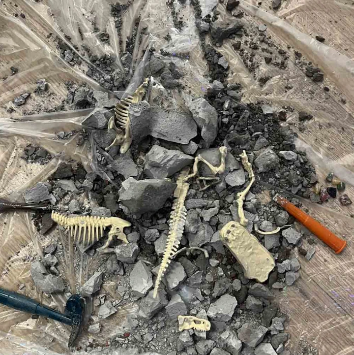 Archeologijos kasinėjimų rinkinys Dinozaurai, KX3582