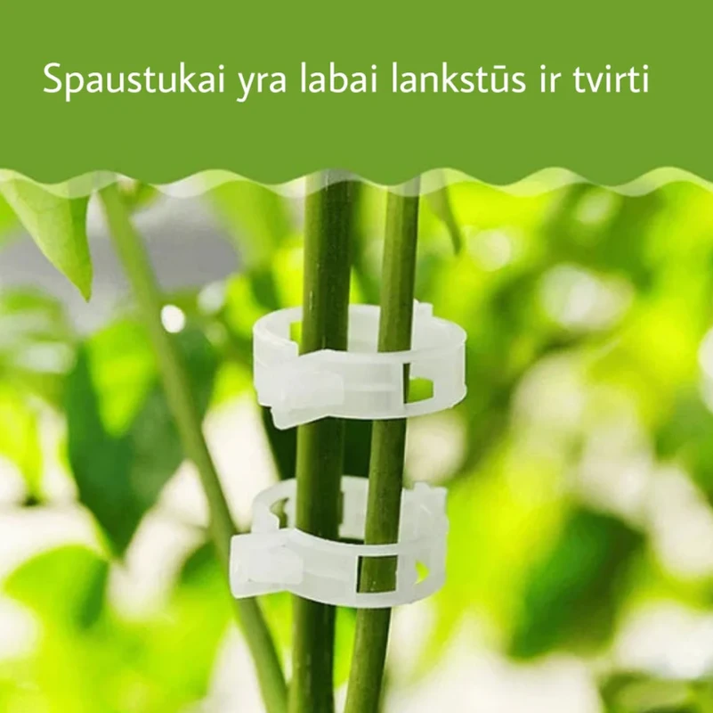 Augalų atraminiai spaustukai, 50 vnt.