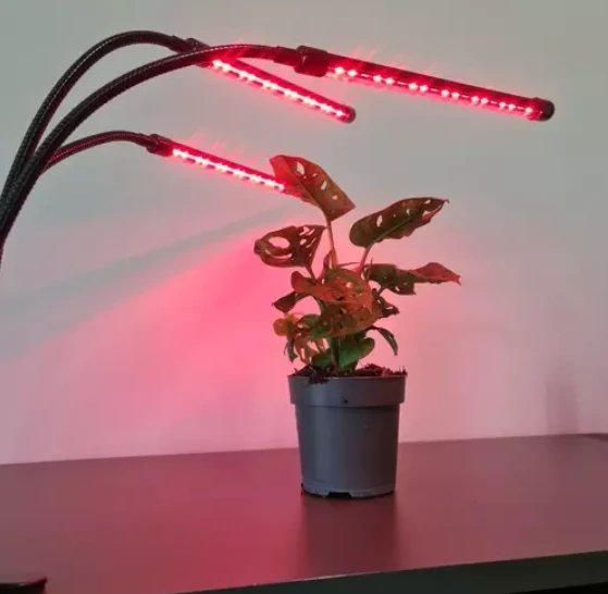 LED lempa augalų augimui