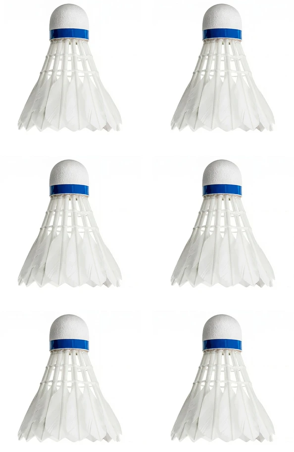 Badmintono musytės- plunksnelės Springos, 6 vnt.