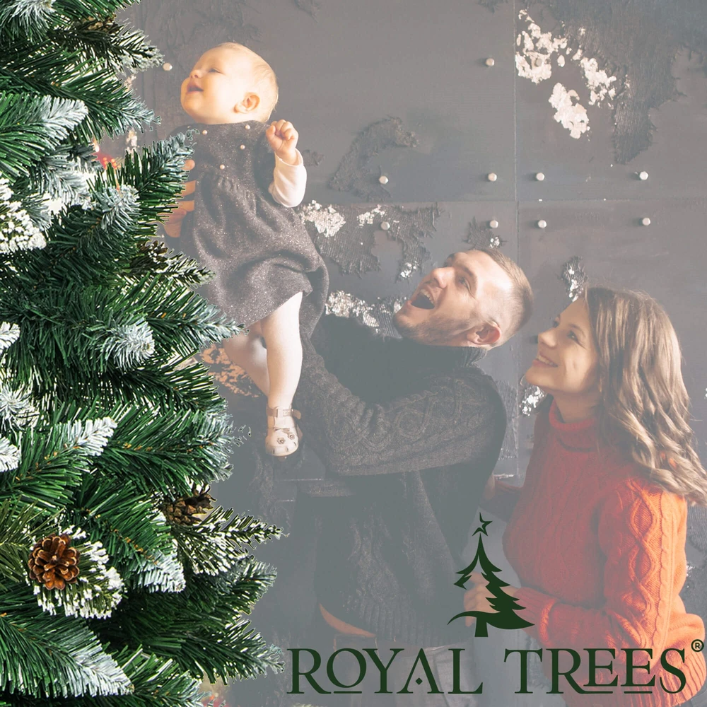 Springos CT0191 Dirbtinė Kalėdų eglutė 220 cm Premium Royal Trees, snieguota deimantinė pušis su kūgiais