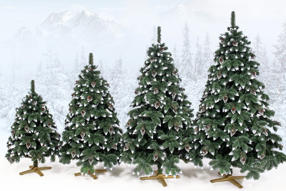 Springos CT0191 Dirbtinė Kalėdų eglutė 220 cm Premium Royal Trees, snieguota deimantinė pušis su kūgiais